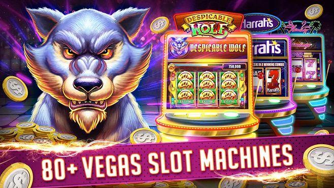 casinyeam online casino login